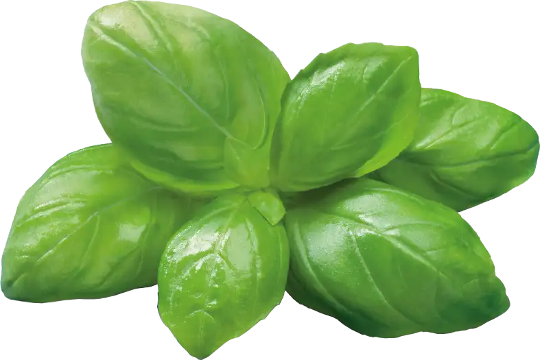 Barilla pesto al basilico vegan